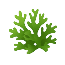 Oakmoss