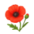Poppy