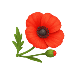 Poppy