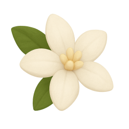 White Flower