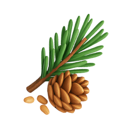 Fresh Pine
