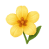 Ambrette