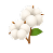 Clean Cotton