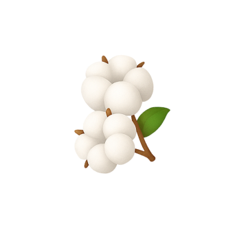Clean Cotton