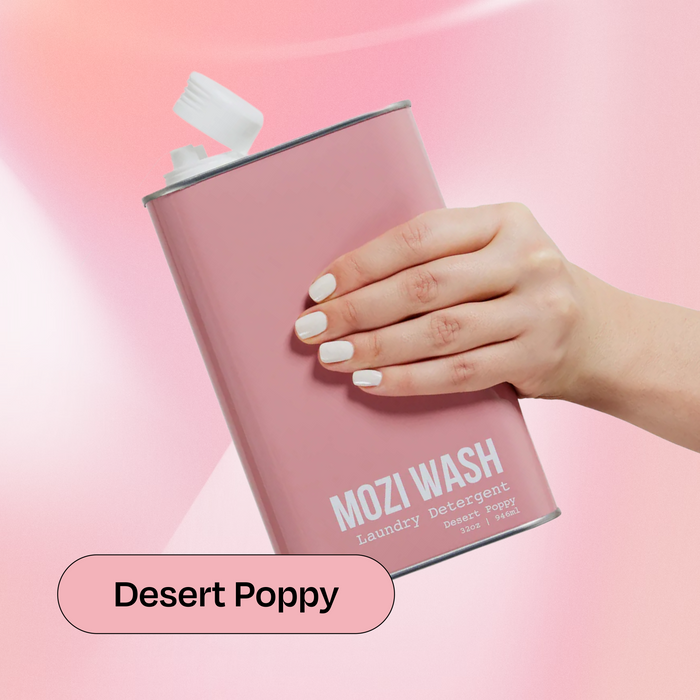 Desert Poppy