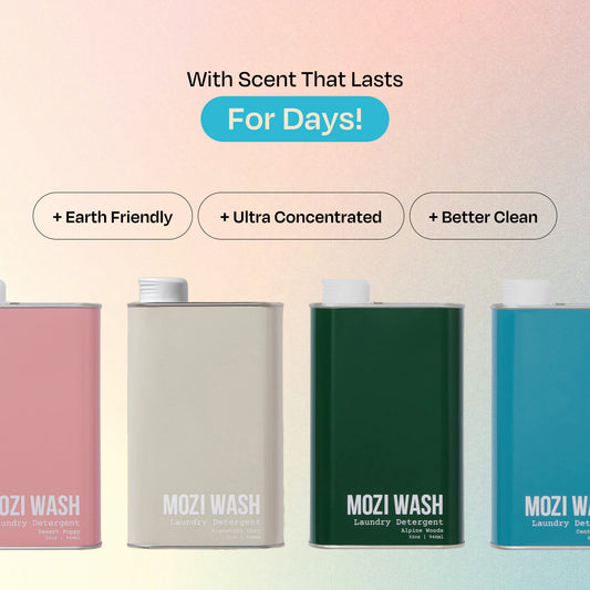 Best Seller 4 Pack