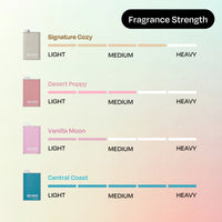 Luxury Scents