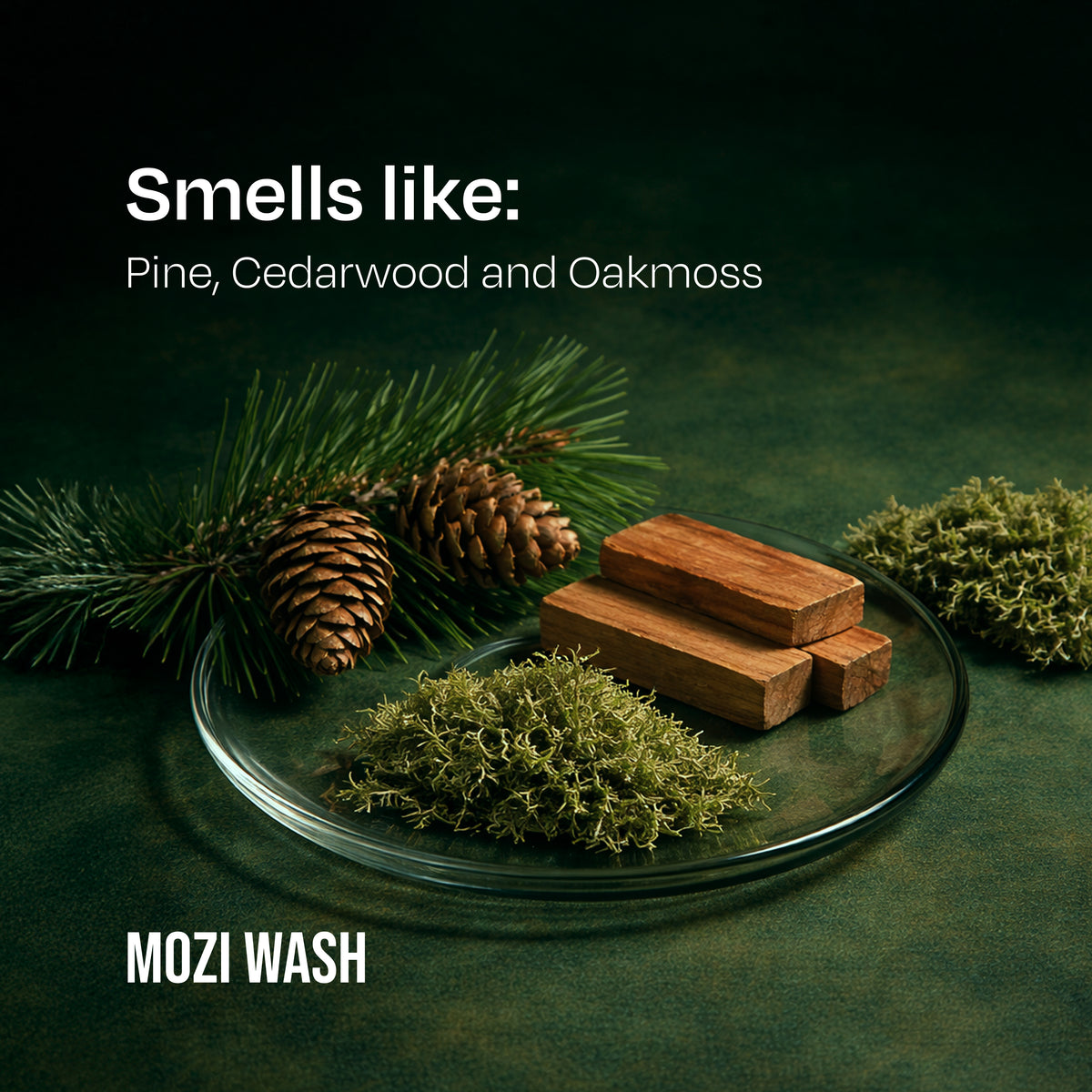 Alpine Woods Mist & Detergent