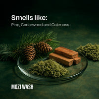 Alpine Woods Mist & Detergent