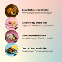 Ultimate Detergent Sample Kit