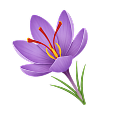 Saffron
