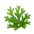 Oakmoss