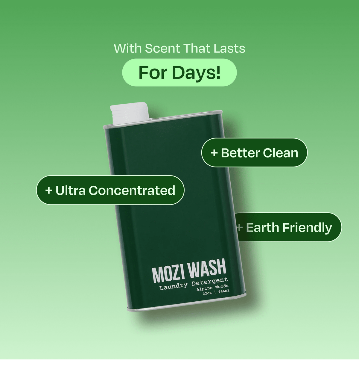 Alpine Woods - Mozi Wash