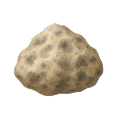 Ambergris