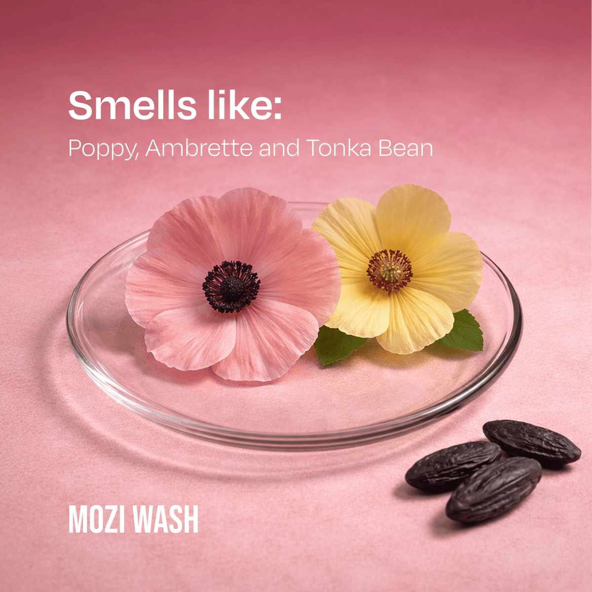 Desert Poppy - Mozi Wash