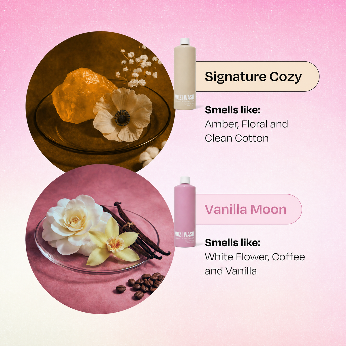 A pink and beige promotional graphic showing two scent bottles with scent callouts and ingredient imagery. The top bottle is labeled 'Signature Cozy' with amber, floral, and cotton notes; the bottom bottle is labeled 'Vanilla Moon' with white flower, coffee, and vanilla notes.
