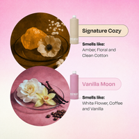 A pink and beige promotional graphic showing two scent bottles with scent callouts and ingredient imagery. The top bottle is labeled 'Signature Cozy' with amber, floral, and cotton notes; the bottom bottle is labeled 'Vanilla Moon' with white flower, coffee, and vanilla notes.