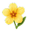 Ambrette