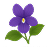 Sweet Violet
