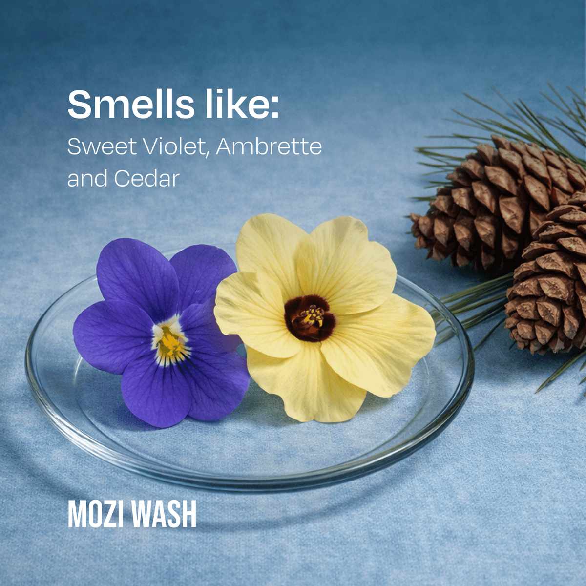 Malibu Mornings - Mozi Wash