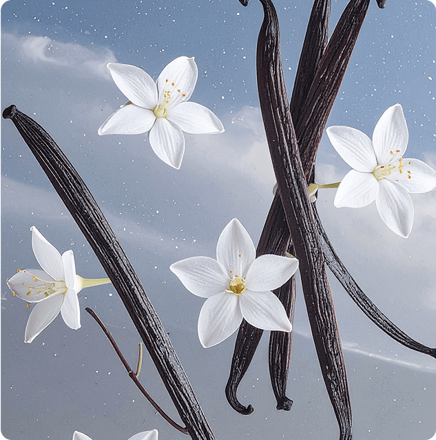 Product Background Image
